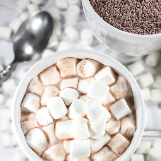 Homemade Hot Cocoa Mix - Recipe photo by bastecutfold