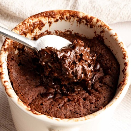 Chocolate Oat Flour Mug Cake - Recipe photo by eatfreshglow.com