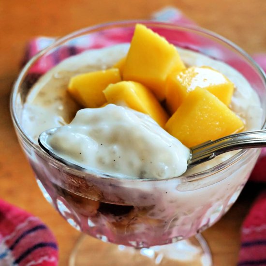 Coconut Tapioca Pudding - Recipe photo by mygorgeousrecipes