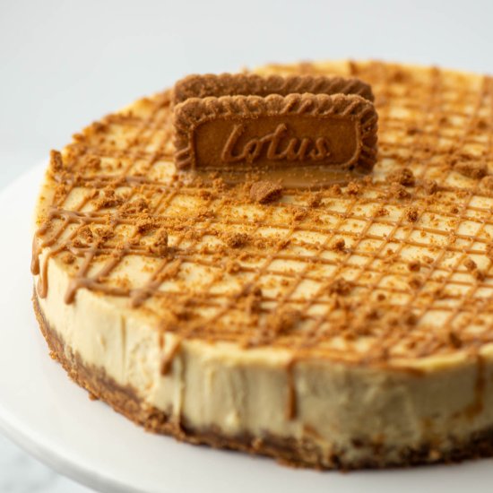 Biscoff Cookie Butter Cheesecake - Recipe photo by NextLevelBaker