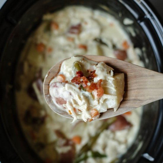 Slow Cooker Chicken Stew - Recipe photo by The Cookin Chicks