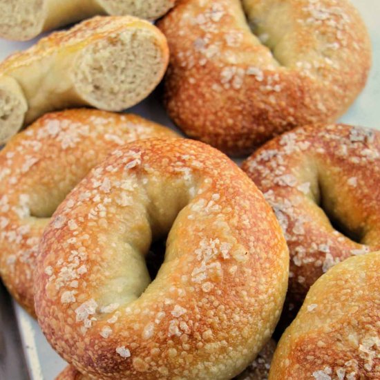 Salt Bagels (6 Ingredients) - Recipe photo by homebodyeats
