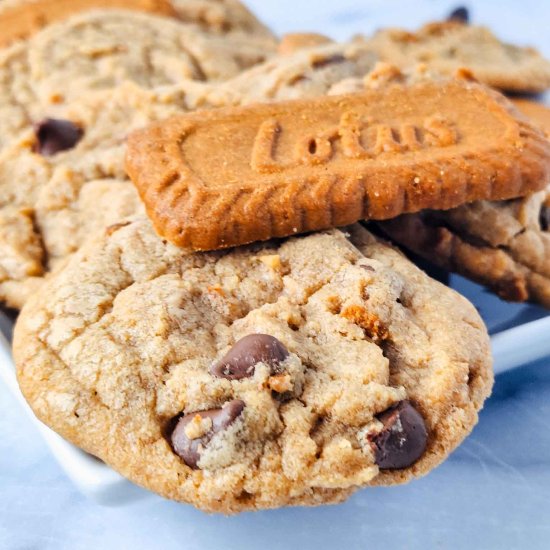 Biscoff Chocolate Chip Cookies - Recipe photo by bklynactivemama