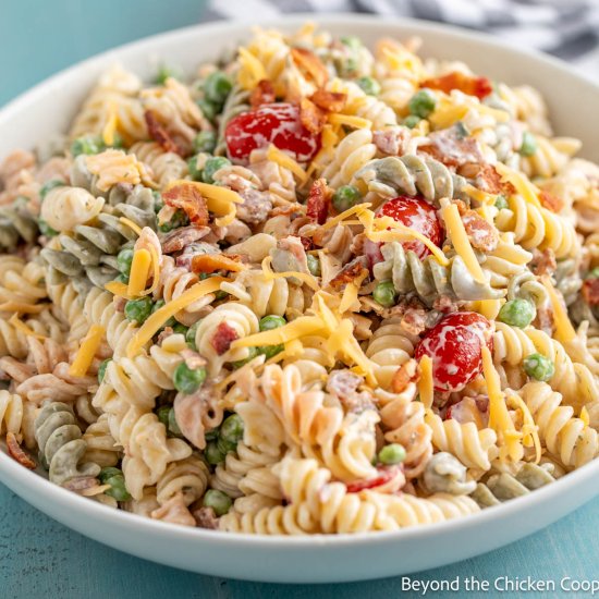 Bacon Ranch Pasta Salad - Recipe photo by BeyondtheCoop