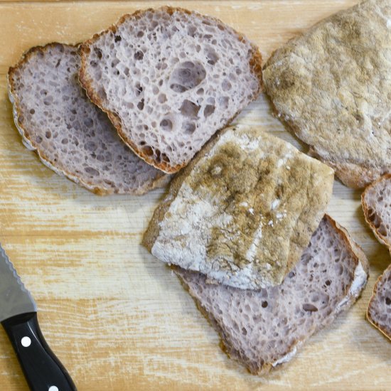 Gluten-Free Ciabatta Rolls - Recipe photo by Feed Your Soul Too