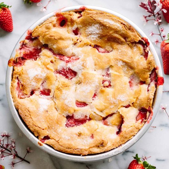 Simple Fresh Strawberry Cake - Recipe photo by ColeyCooks