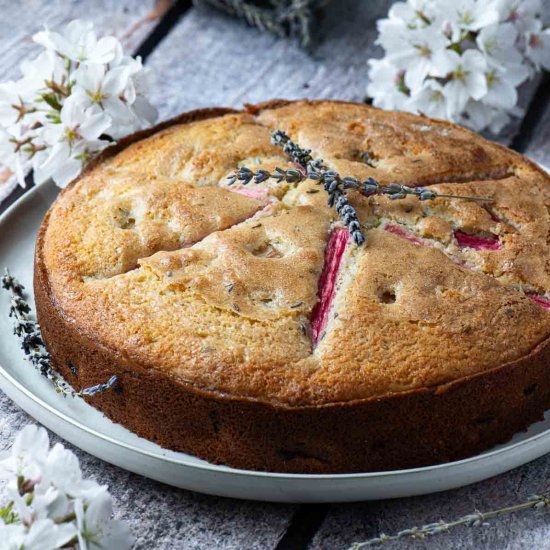 Rhubarb Lavender Cake - Recipe photo by brunchandbatter