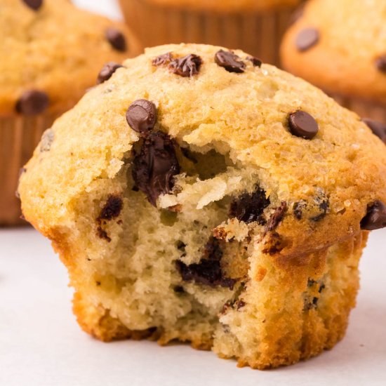 Chocolate Chip Muffins - Recipe photo by KyleeCooks