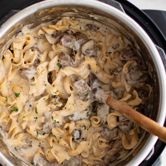 Instant Pot Beef Stroganoff - Recipe photo by TheSaltyMarshmallow