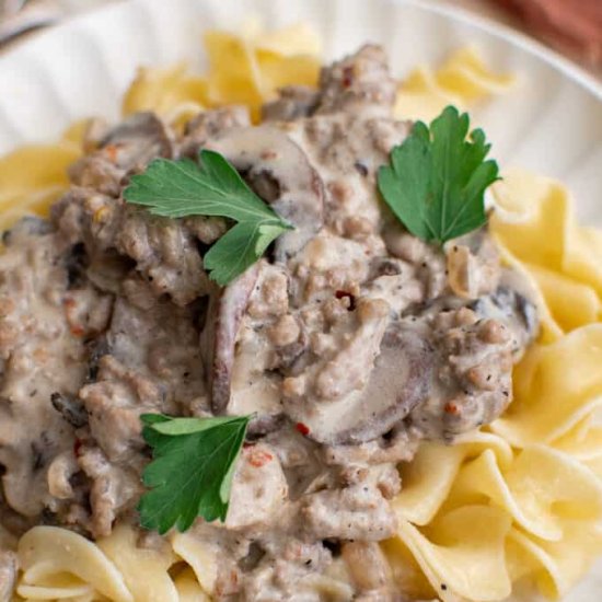Ground Beef Stroganoff - Recipe photo by TheSaltyMarshmallow
