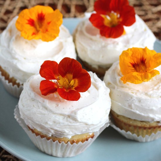 Just Four Perfect Vanilla Cupcakes - Recipe photo by Food Gal