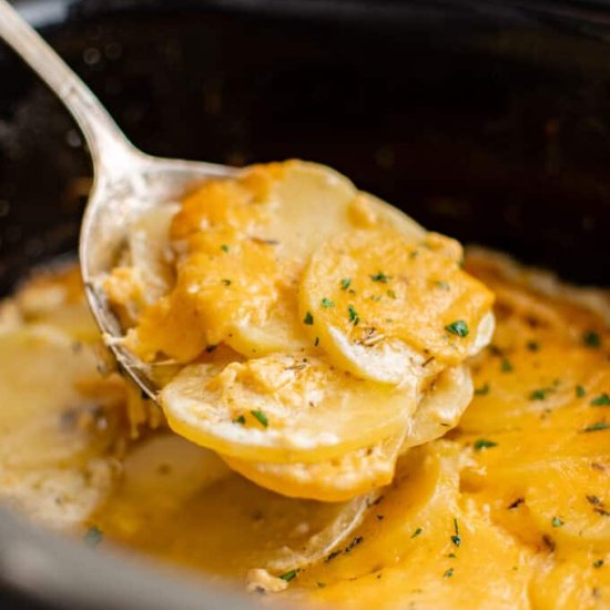 Crockpot Scalloped Potatoes - Recipe photo by TheSaltyMarshmallow