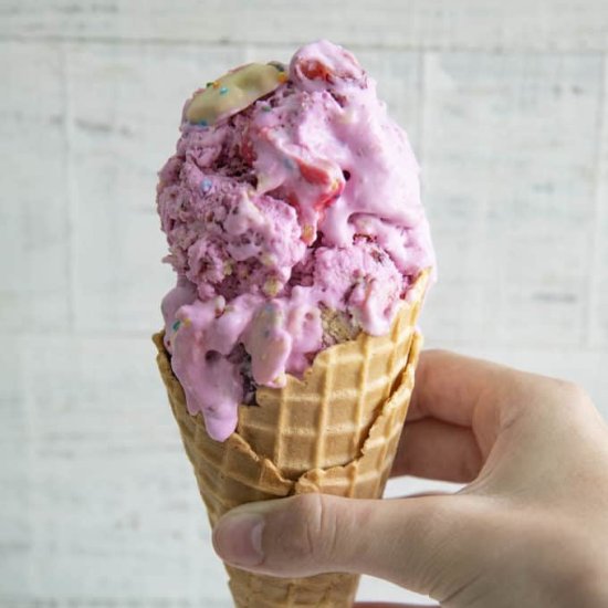 No Churn Circus Cookie Ice Cream - Recipe photo by TheSaltyMarshmallow