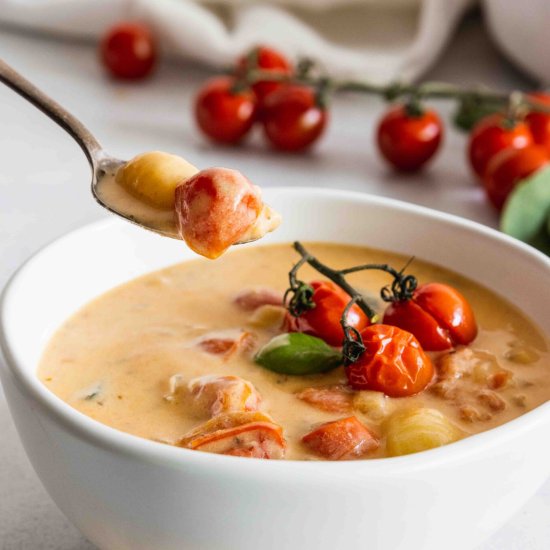 Vegan Gnocchi Soup - Recipe photo by Chef Ani