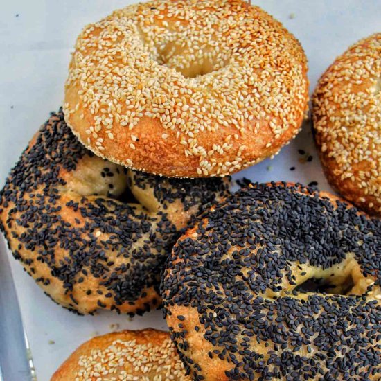 Sesame Seed Bagels (6 Ingredients) - Recipe photo by homebodyeats