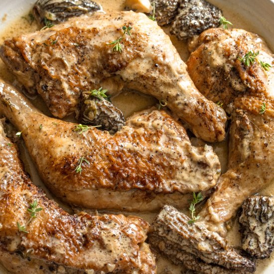 Fricassee Chicken, Morels, and Wine - Recipe photo by GiangisKitchen