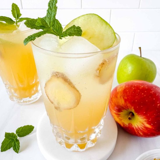 Apple Juice Mocktails - Recipe photo by Low Histamine Kitchen