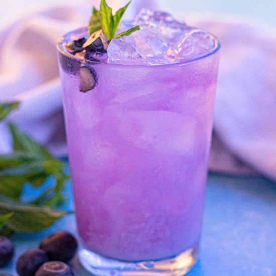 Blueberry Refresher Drink - Recipe photo by Skinny Sweets