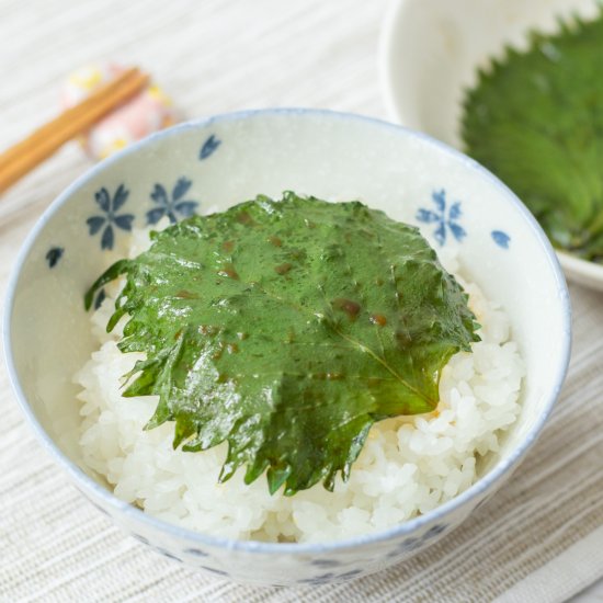 Japanese Pickled Shiso Leaves - Recipe photo by Umami Pot