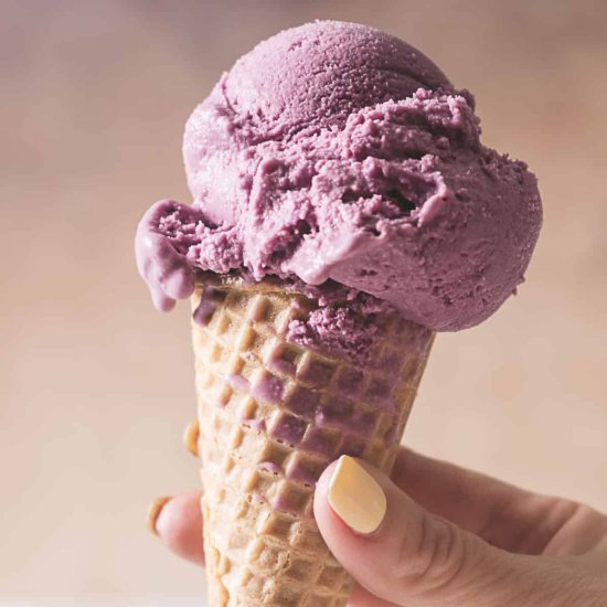 Blueberry Ice Cream - Recipe photo by peelwithzeal