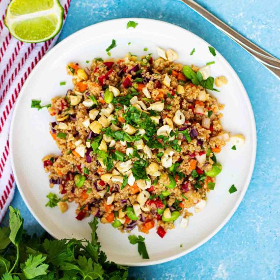 High Protein Quinoa Salad - Recipe photo by Absolute Foodie