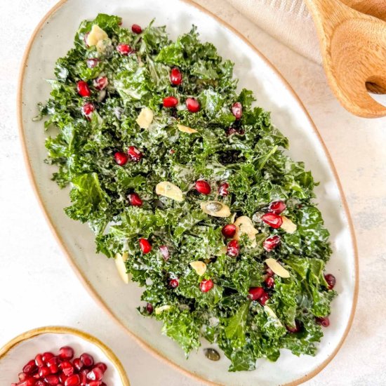Kale and Pomegranate Salad - Recipe photo by Low Histamine Kitchen