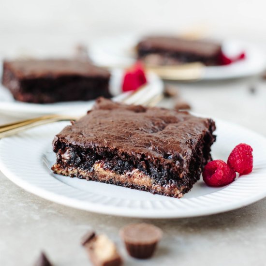 Chocolate Peanut Butter Dump Cake - Recipe photo by The Cookin Chicks