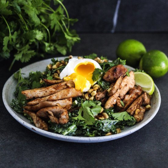 High Protein Chicken Kale Salad - Recipe photo by Tastycue
