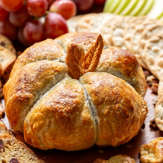 Pumpkin Baked Brie - Recipe photo by Savingroomfordessert