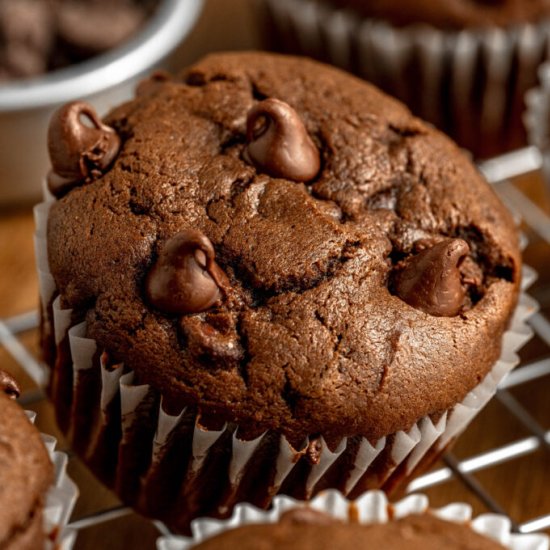 Death by Chocolate Muffins - Recipe photo by The Cookin Chicks