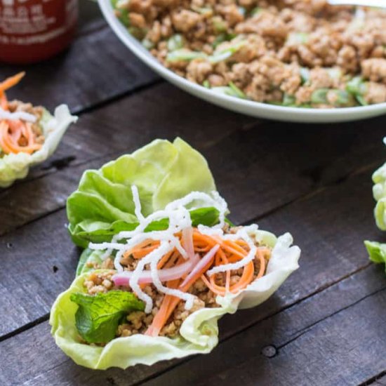 Chicken Lettuce Wraps - Recipe photo by ColeyCooks