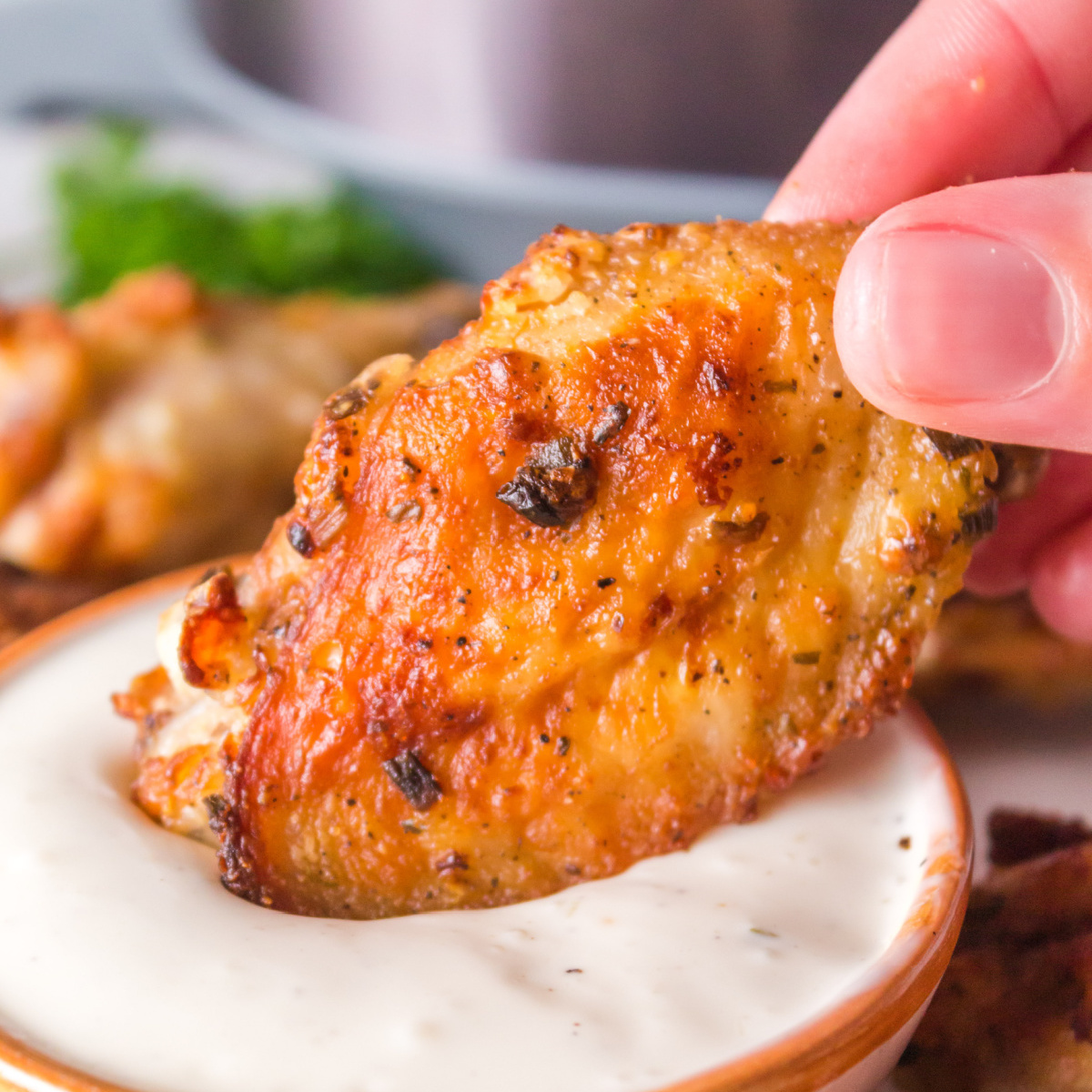 Air Fryer Ranch Wings - Recipe photo by Love Bakes Good Cakes