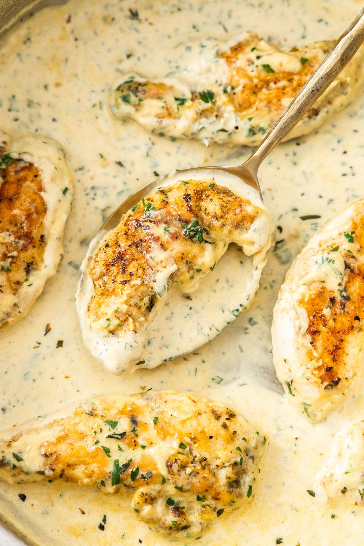Creamy Herb Chicken - Recipe photo by itsnotcomplicatedrecipes