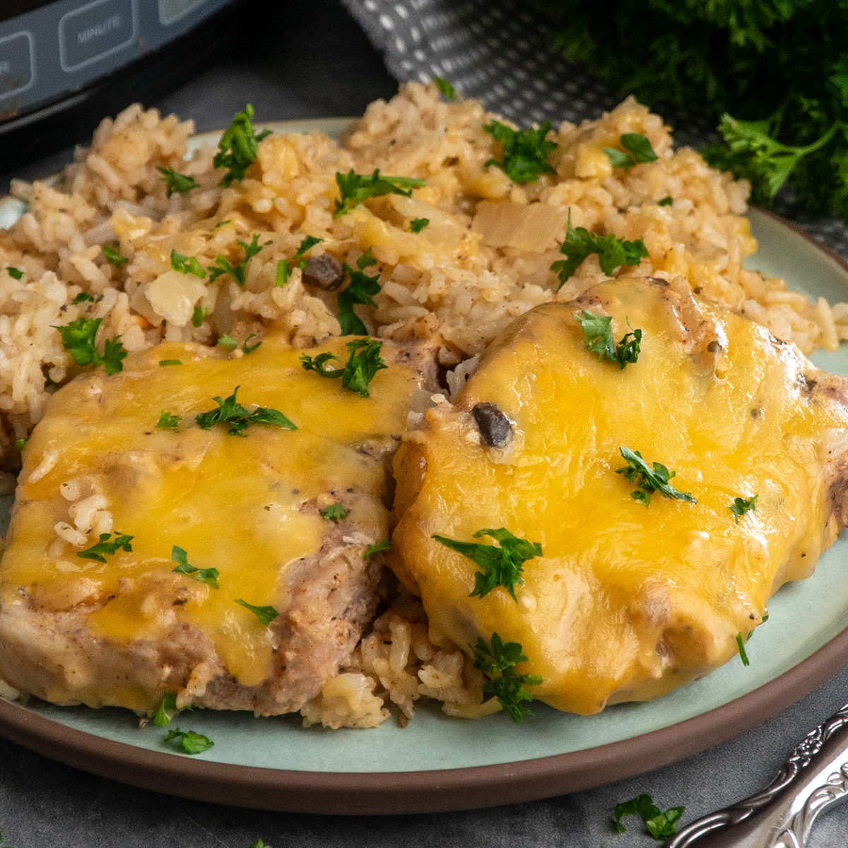 Crock Pot Pork Chops and Rice - Recipe photo by SlowCookerMeals
