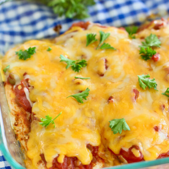 Salsa Chicken - Recipe photo by laughingspatula.com