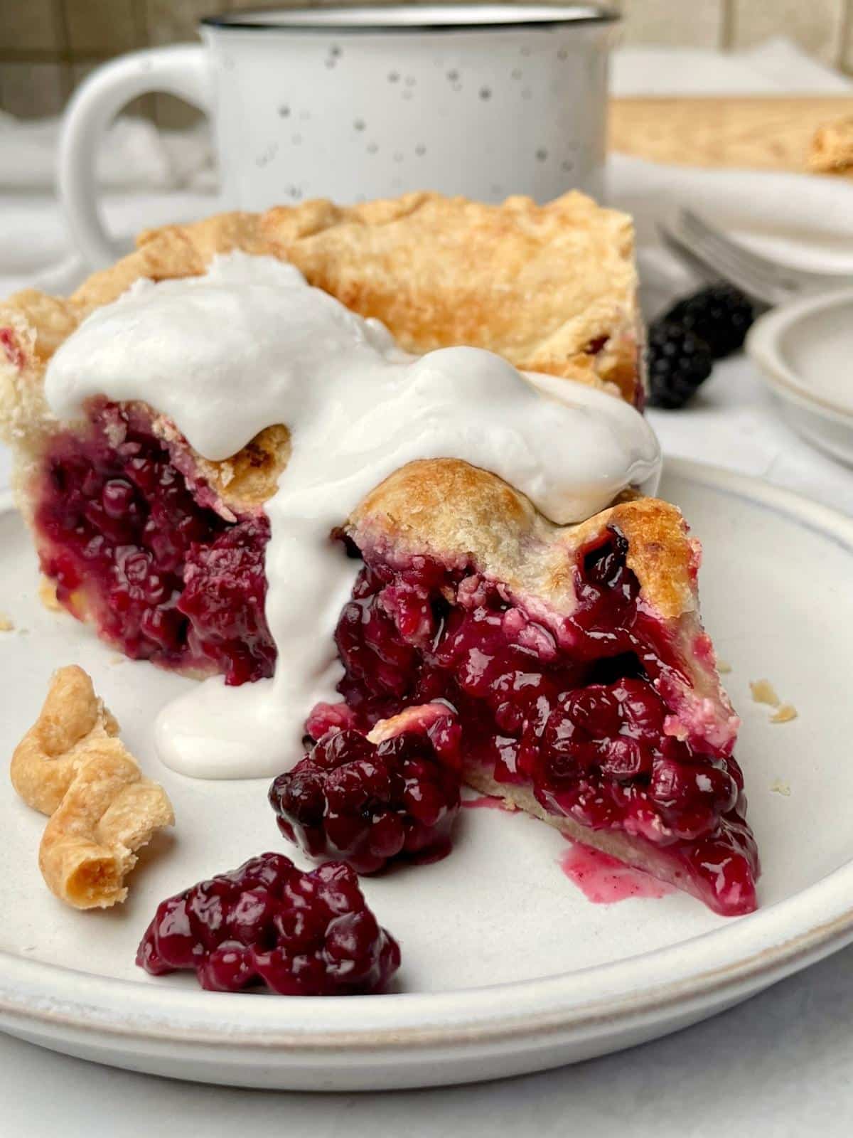 Vegan Blackberry Pie - Recipe photo by serenetrail