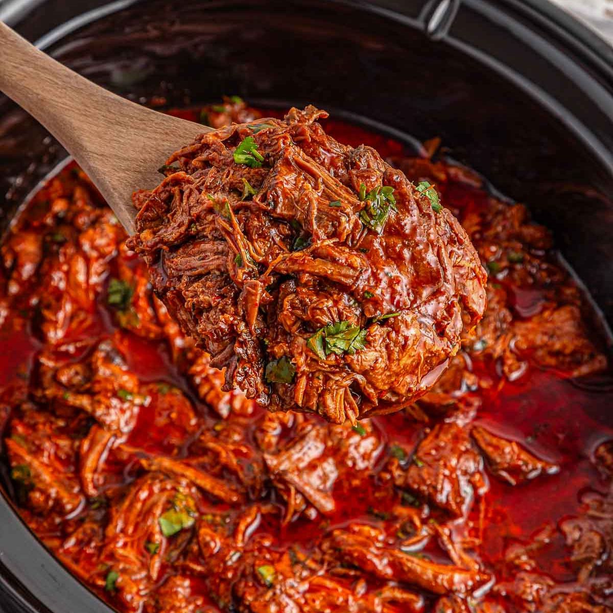 Easy Birria Recipe - Recipe photo by ToSimplyInspire