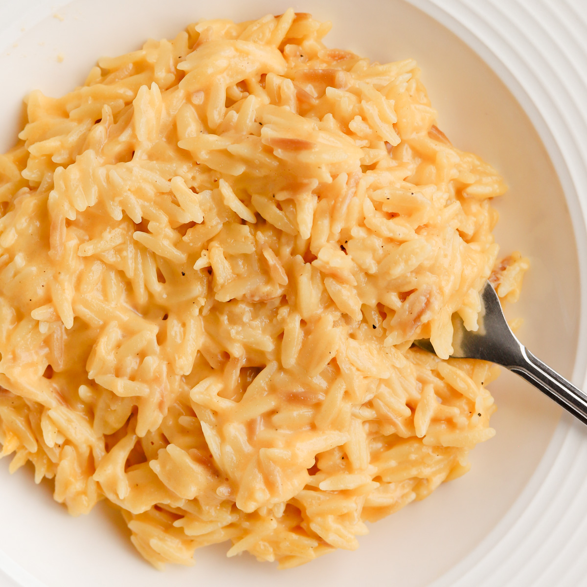 One-Pot Orzo Mac & Cheese - Recipe photo by thedarlingapron