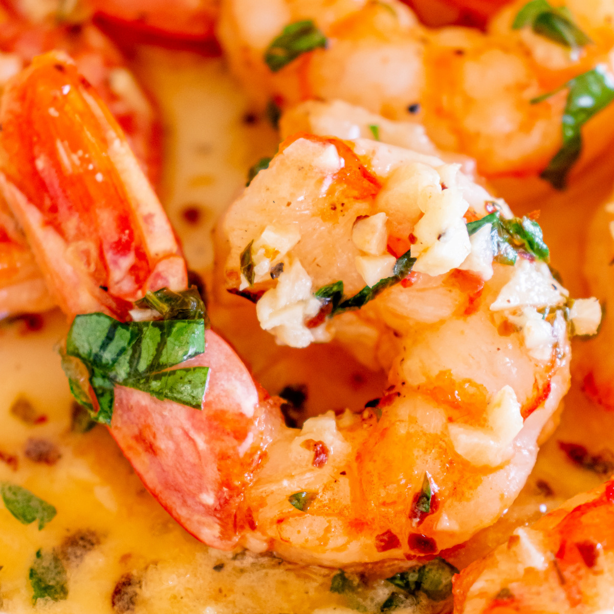 Air Fryer Garlic Butter Shrimp - Recipe photo by Love Bakes Good Cakes
