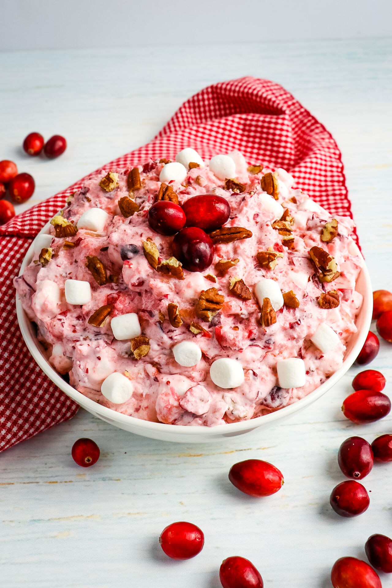 Cranberry Fluff Salad - Recipe photo by DelightfulEMade