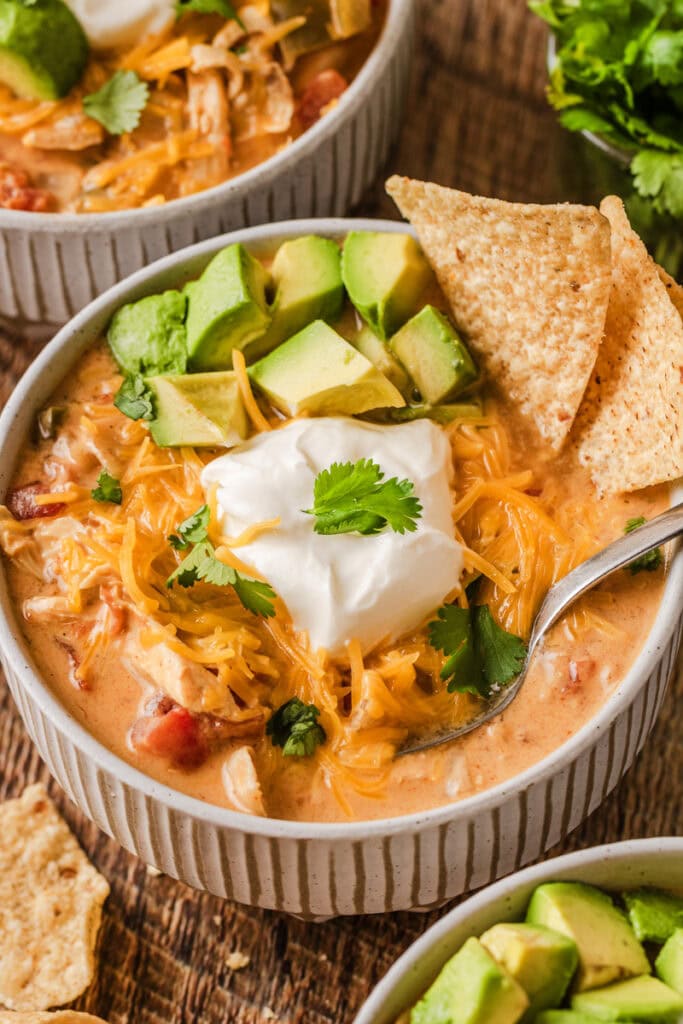 Creamy Chicken Fajita Soup - Recipe photo by The Cookin Chicks