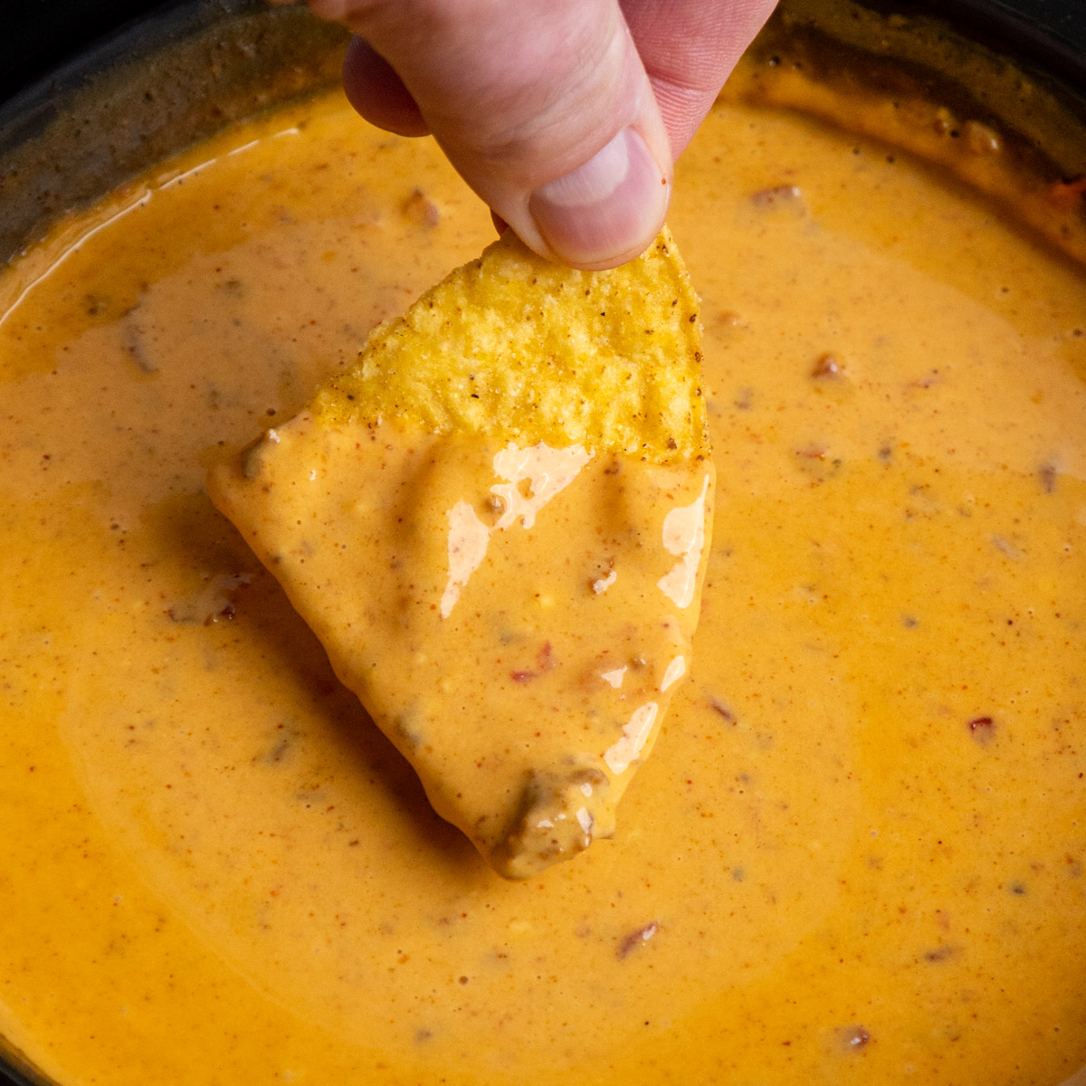 Crock Pot Chili Cheese Dip - Recipe photo by SlowCookerMeals