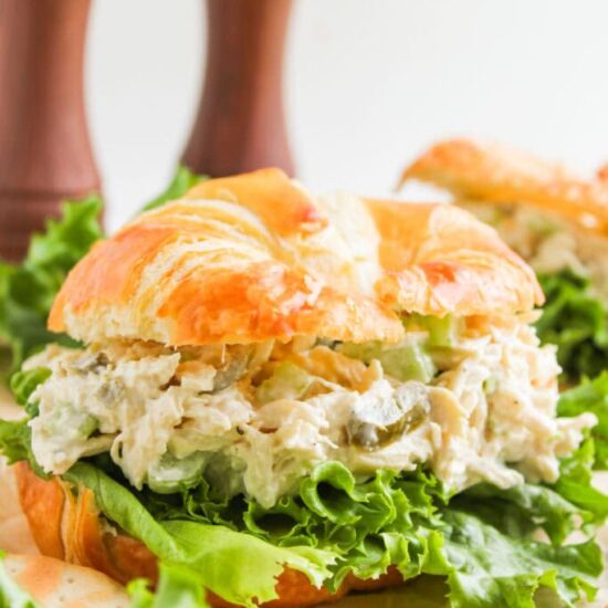 Jalapeno Chicken Salad - Recipe photo by The Cookin Chicks