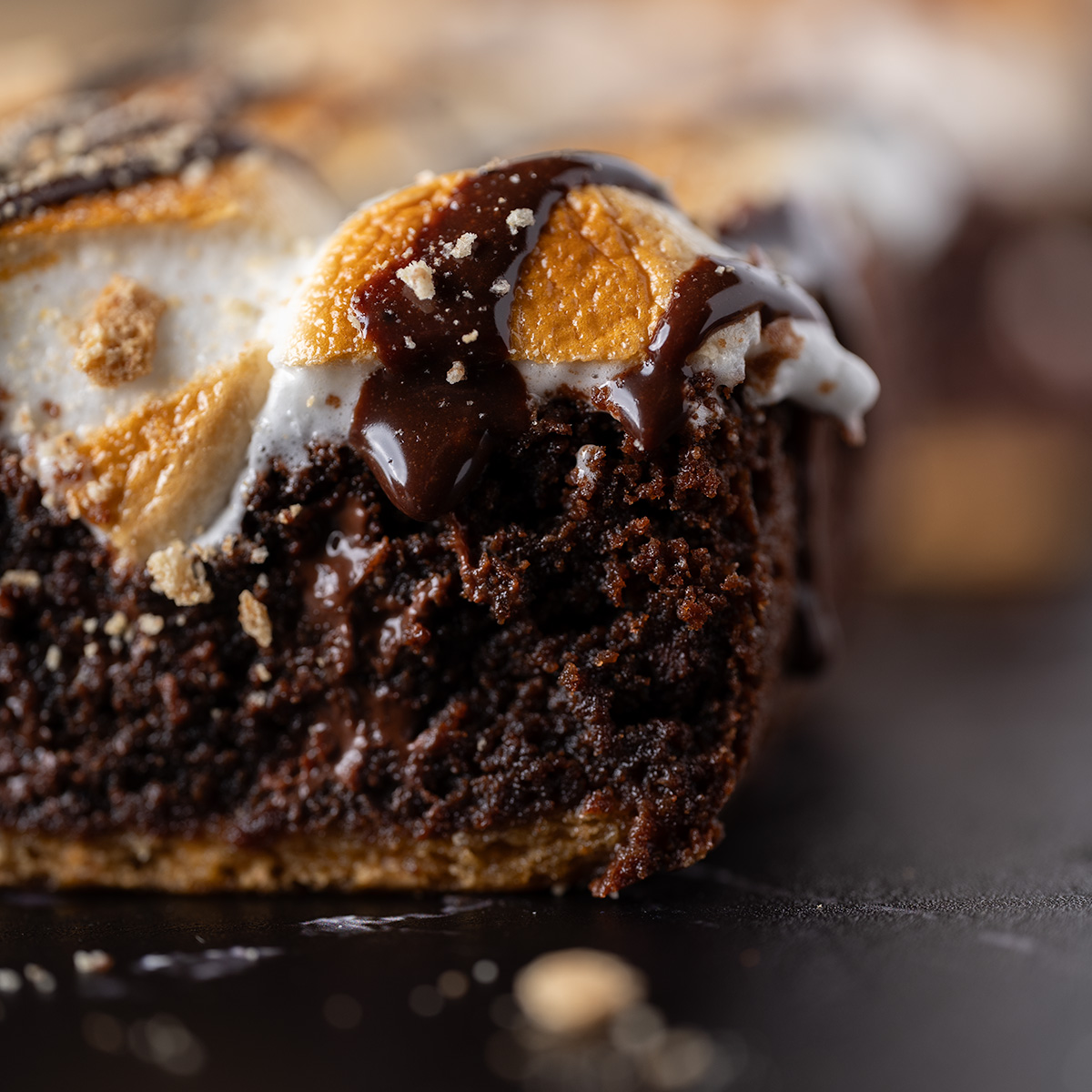 Fudgy S'mores Brownies - Recipe photo by cocoacookbook