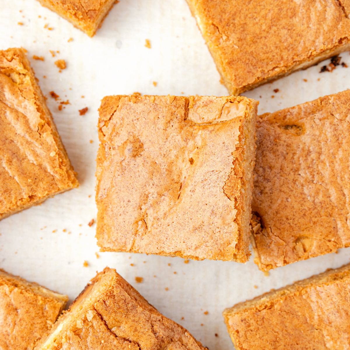 Brown Butter Blondies - Recipe photo by TheChaoticTable