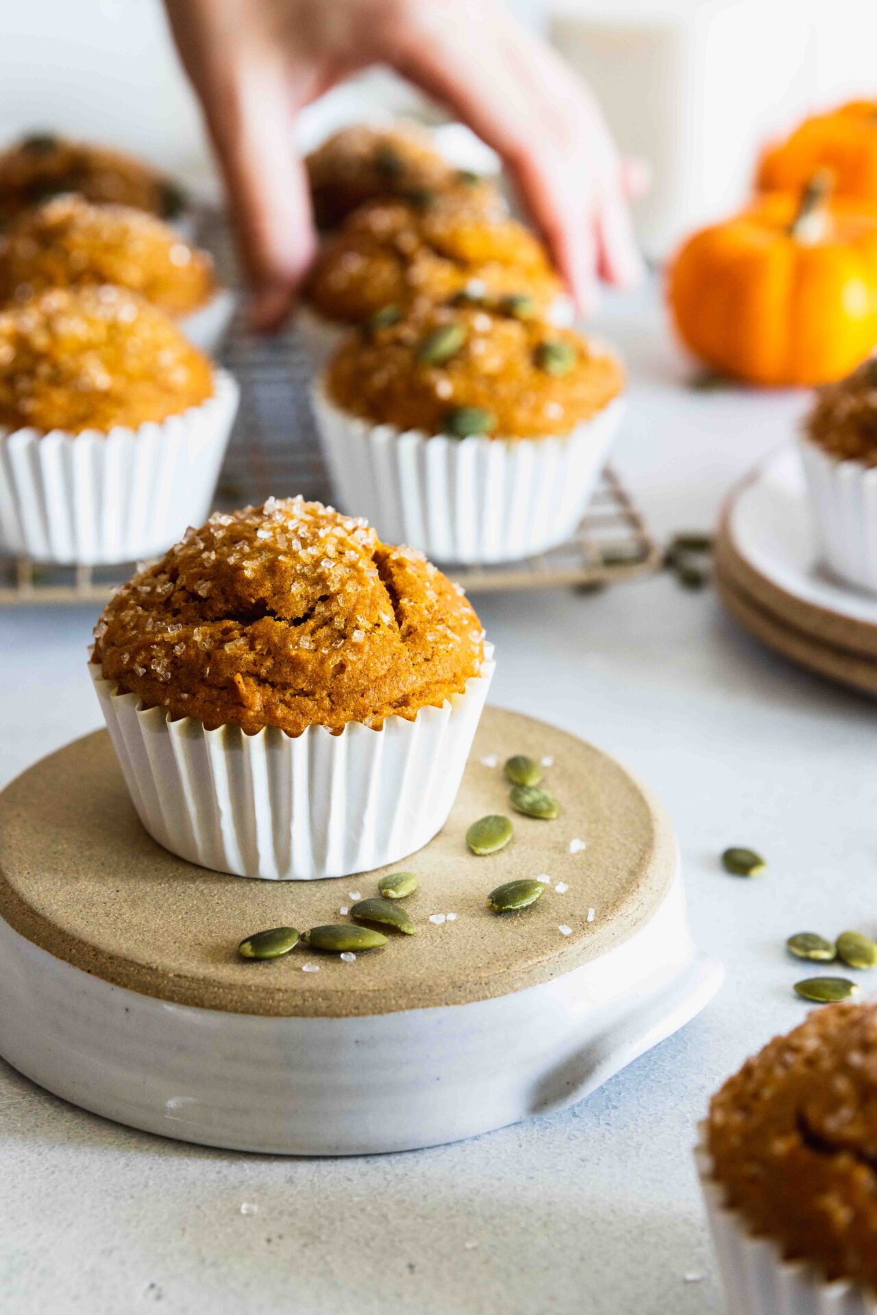 Vegan Pumpkin Muffins - Recipe photo by Chef Ani
