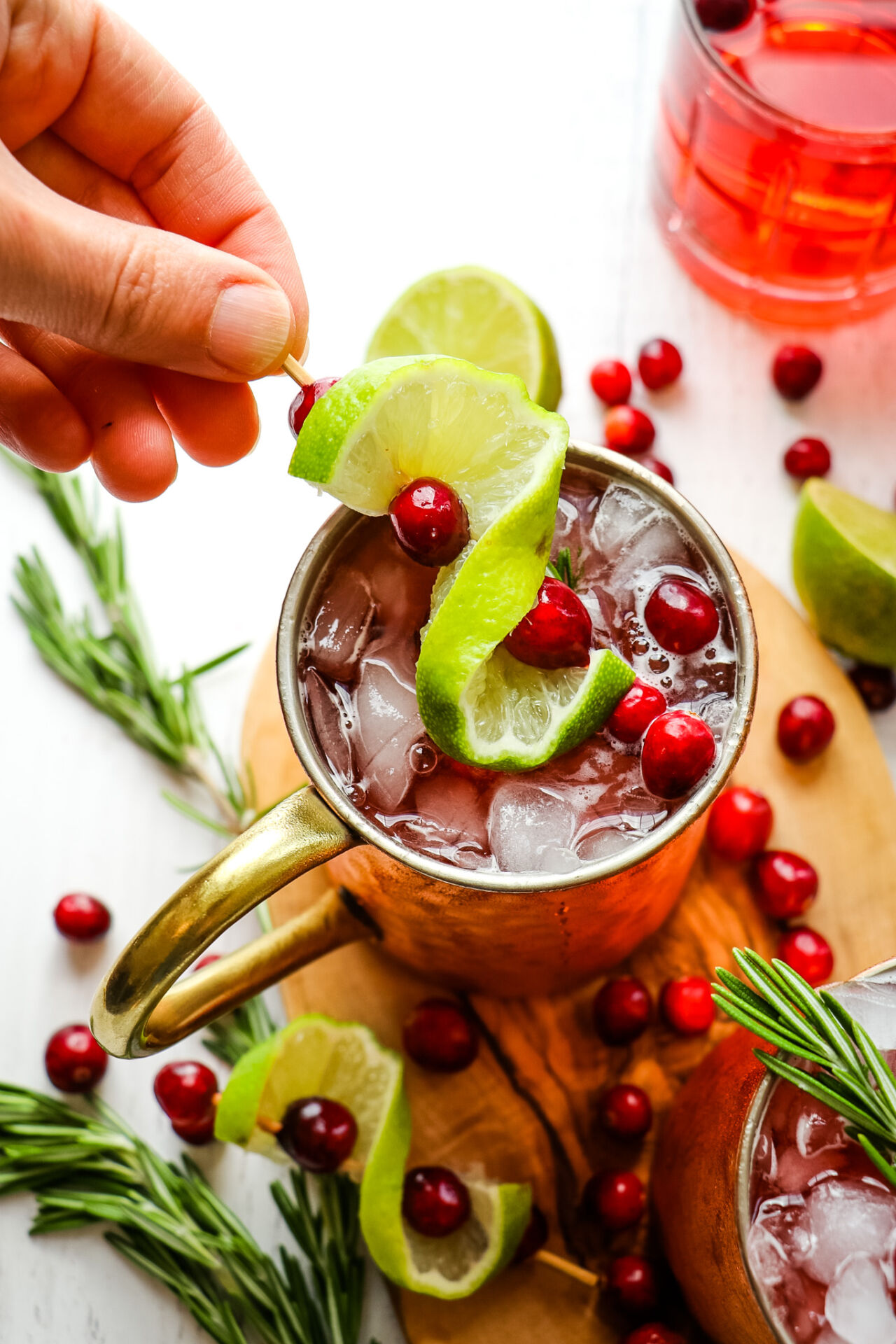 Cranberry Moscow Mules - Recipe photo by DelightfulEMade
