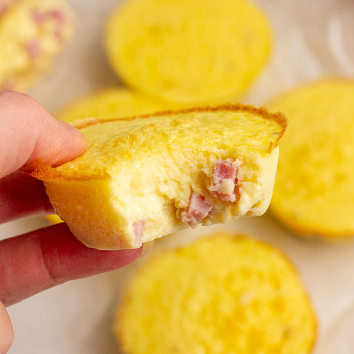 Ham and Cheese Egg Bites - Recipe photo by healthdownsouth