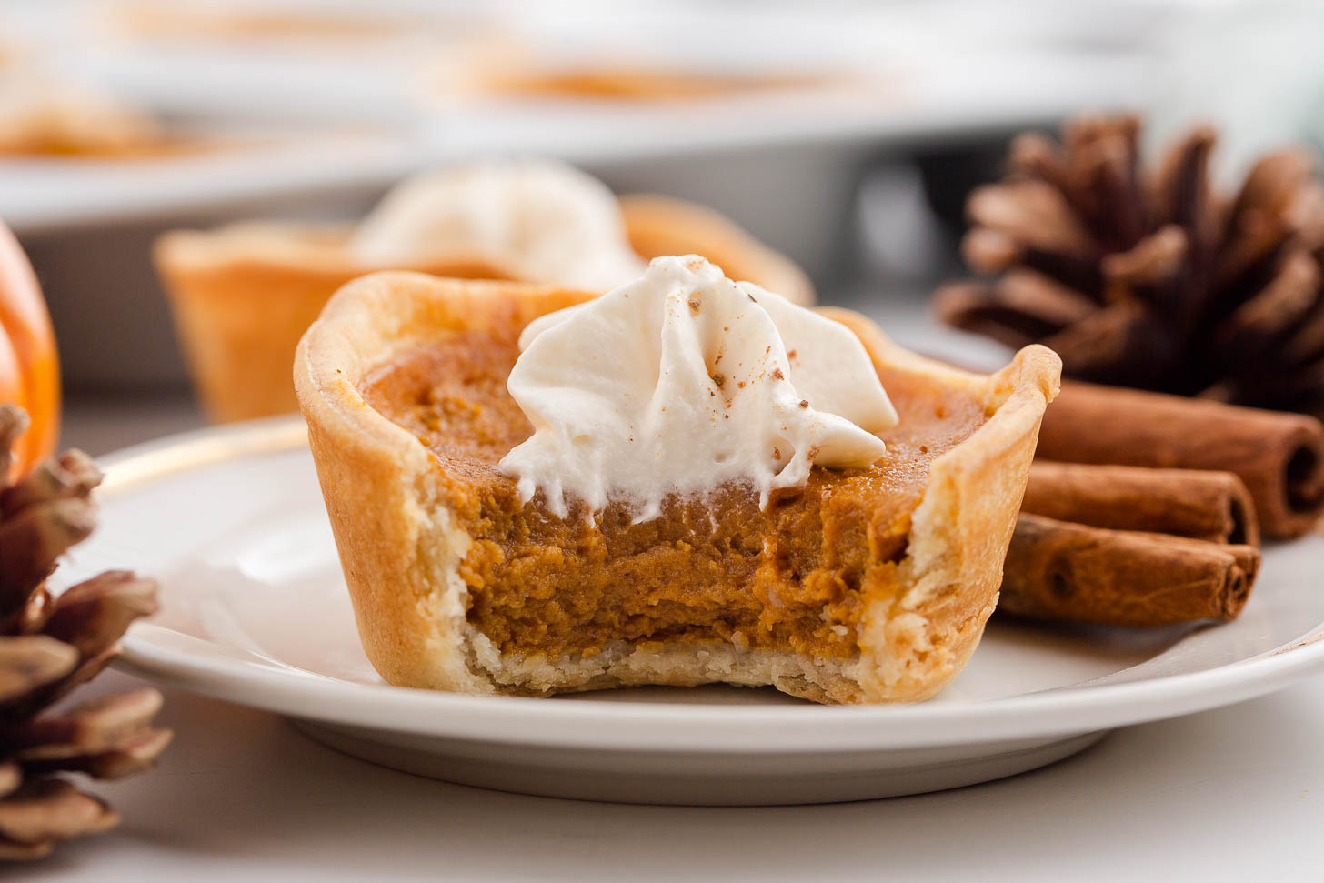 Mini Pumpkin Pies - Recipe photo by pumpkinnspice