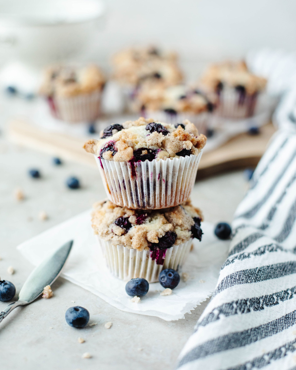 Blueberry Streusel Muffins - Recipe photo by The Cookin Chicks